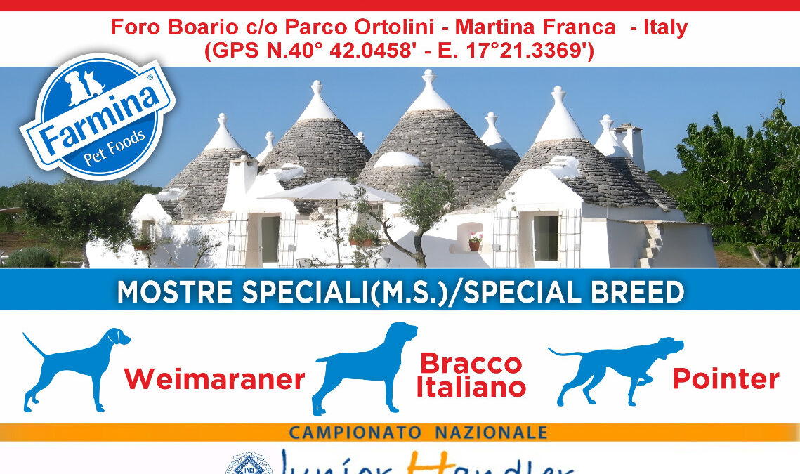 33a ESPOSIZIONE INTERNAZINALE E RAUNI RETRIVER & BOXER 7/8 NOVEMBRE 2026